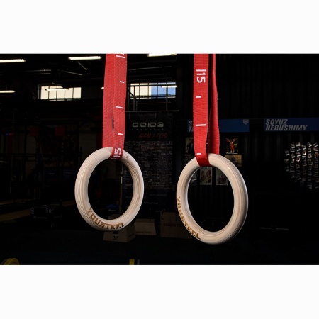 Купить Кольца гимнастические 32 мм красные стропы в Асине 